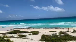 El recale de sargazo en Cancún ha colocado a la ciudad en el color amarillo del Semaforo de arribo del alga de la Semar