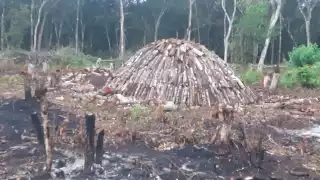 Productores de la comunidad de Tabaquito recurrieron a la quema de carbón como fuente de trabajo