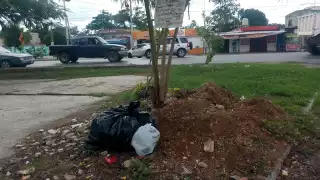 De acuerdo con los residentes del área, el Ayuntamiento pintó y saneó algunos parques del área, pero ignoró otras problemáticas como la falta de tapas en los desagües