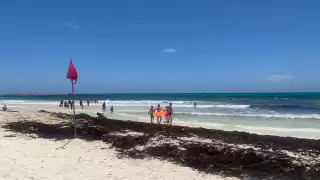 El sargazo ha causado afectaciones en playas de Cancún