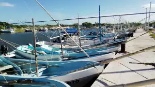 Los hombres de mar esperan poder pescar producto de escamas para así generar ingresos, hace ya dos semanas que están varados en el Puerto de Abrigo