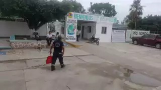Abejas africanas atacan a estudiantes del Cobach de Chetumal