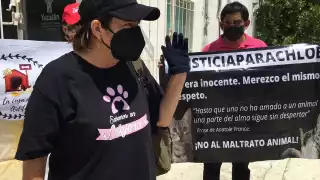 Las animalistas pidieron justicia por los animales asesinados por la enfermera de la T1