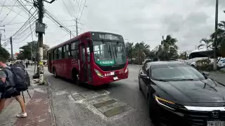 La mujer murió luego de que el camionero la atropellara