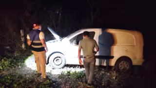 Tráiler arrolla ganado en carretera Campeche–Mérida