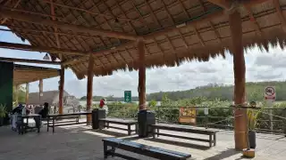 El animal fue visto nadando en el ojo de agua de El Corchito