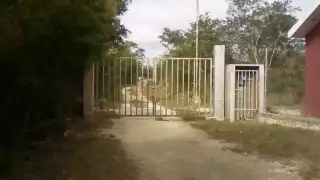 El lugar incluye una vivienda donde el dueño ya indicó que, mientras se le pague como debe ser, está dispuesto a mudarse sin mayores problemas