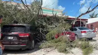 Los árboles sepultaron varios autos y causaron daños materiales