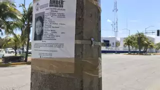 En el 2019 fue el año en que se reportaron más desapariciones