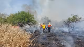 Campeche suma 16 incendios forestales y más de 4 mil hectáreas afectadas al corte de marzo