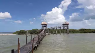 Tren Maya y fiestas clandestinas, amenazas de las reservas naturales en Quintana Roo