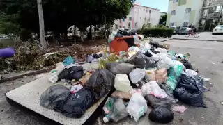 Una recolectora de pet, advirtió al equipo Por Esto! qué la basura acumulada en esta zona tiene al menos tres semanas