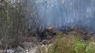 El incendio en Felipe Carrillo Puerto habría comenzado por quema de basura