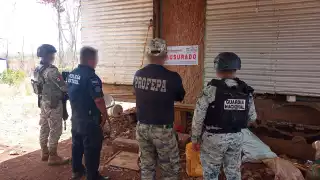 Ecocidio en Campeche: Clausuran terrenos por tala ilegal