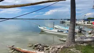  Piden a hombres de mar en Campeche denunciar robos y pesca ilegal de pulpo   