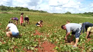 Padre, hijos y nietos, ayudan a regar las plantas y distribuir el producto en la comunidad