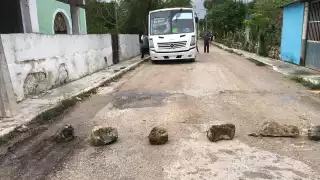 Los vecinos aseguran que de tres camiones pasaron a uno, el cual no se da abasto para dar el servicio