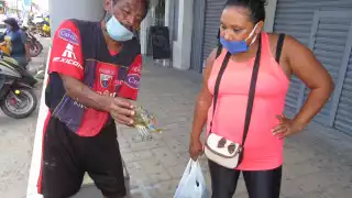 Foto: Alfredo Canto May