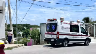 Ataque de abejas en Campeche deja dos lesionados mientras chapeaban un terreno