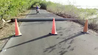 El accidente no sólo ocasionó suspensión en el servicio de luz, sino también se detuvo el tránsito