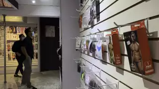 Expuso que los juguetes sexuales también juegan un papel importante fuera de la vida de pareja, en el autoerotismo