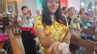 Desde tortugas hasta ratones: Así se vivió la bendición de mascotas en la iglesia de San Francisco en Campeche