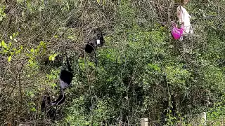 Además de la ropa, hallaron envases de bebidas alcohólicas y preservativos en tramo Peto-Tzucacab