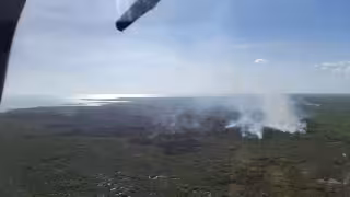 Incendios forestales consumen 570 hectáreas en Quintana Roo durante 2026