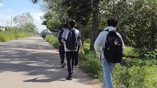 ¿A qué se debe el próximo puente?