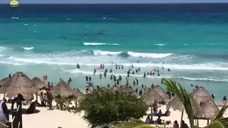 Así se llega a Playa Delfines