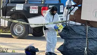 Se tuvo en 2021 un 11% de asesinatos por cada 100 mil habitantes