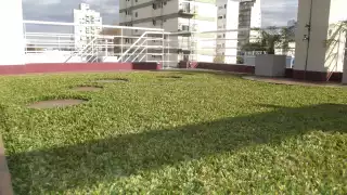 Los techos verdes son útiles debido al calor de Yucatán