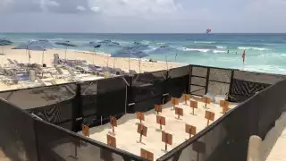 Esta temporada registra un arribo mayor y podría superar las 978 mil 73 crías del año pasado