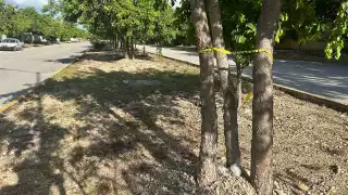 Autoridades acordonaron el área para proceder con el levantamiento del cuerpo