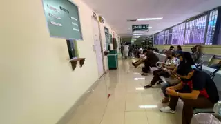 Al día se registran 22 casos de dengue en Yucatán