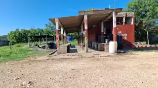 Entre techos dañados y moscas: Piden rehabilitar el rastro público de Hecelchakán