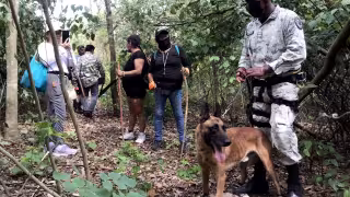 El subsidio Federal será transferido a Quintana Roo; en tanto que el Gobierno local coparticipará con 1.5 mdp