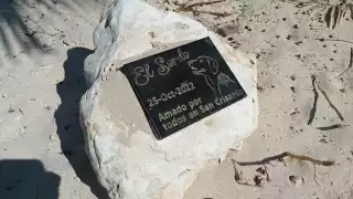 El canino, que padecía sordera, fue adoptado literalmente por la población y los visitantes de San Crisanto