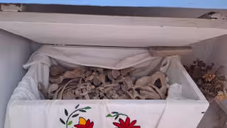 Denuncian robo de cráneos en el cementerio de Pomuch, Campeche