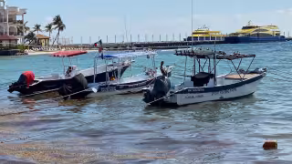 Sargazo “amenaza" a los pescadores durante la temporada de cuaresma en de Playa del Carmen