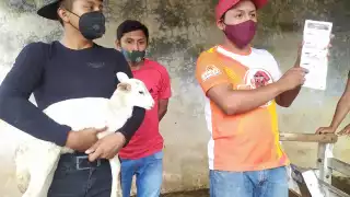 Buscan trascender en mercado más exigentes con un producto agregado