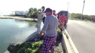 En los últimos días los reptiles se han dejado ver dentro de las rías, áreas donde las personas acuden a pescar o nadar