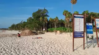Playa del Carmen pierde una zona de playa; Semarnat se la entrega a la CFE