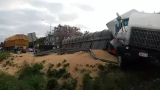 La pesada unidad quedó varada a un costado de la carretera con su carga tirada
