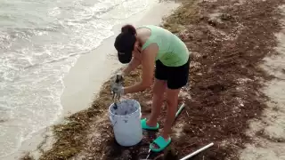 Vecinos de San Crisanto recolectaron varios peces para su consumo