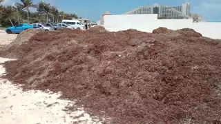 El 4 de octubre se hará la presentación oficial de los lineamientos que entrarán en vigor en la Entidad, con la opinión de 60 especialista