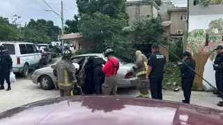 “Era comida descompuesta": Desmienten hallazgo de un cuerpo encajuelado en Cancún