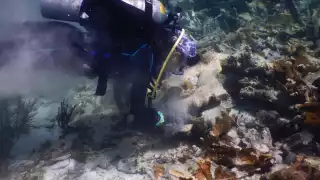 Oceana México pide al Ayuntamiento de Isla Mujeres regular aguas residuales