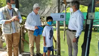 La cría permanecerá en el CARMA hasta ser liberada en su hábitat natural