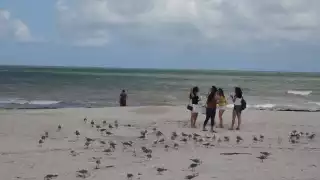 El malecón de este puerto continúa cerrado en este sábado de octubre, donde debido a los efectos meteorológicos no fue notoria la presencia de bañistas